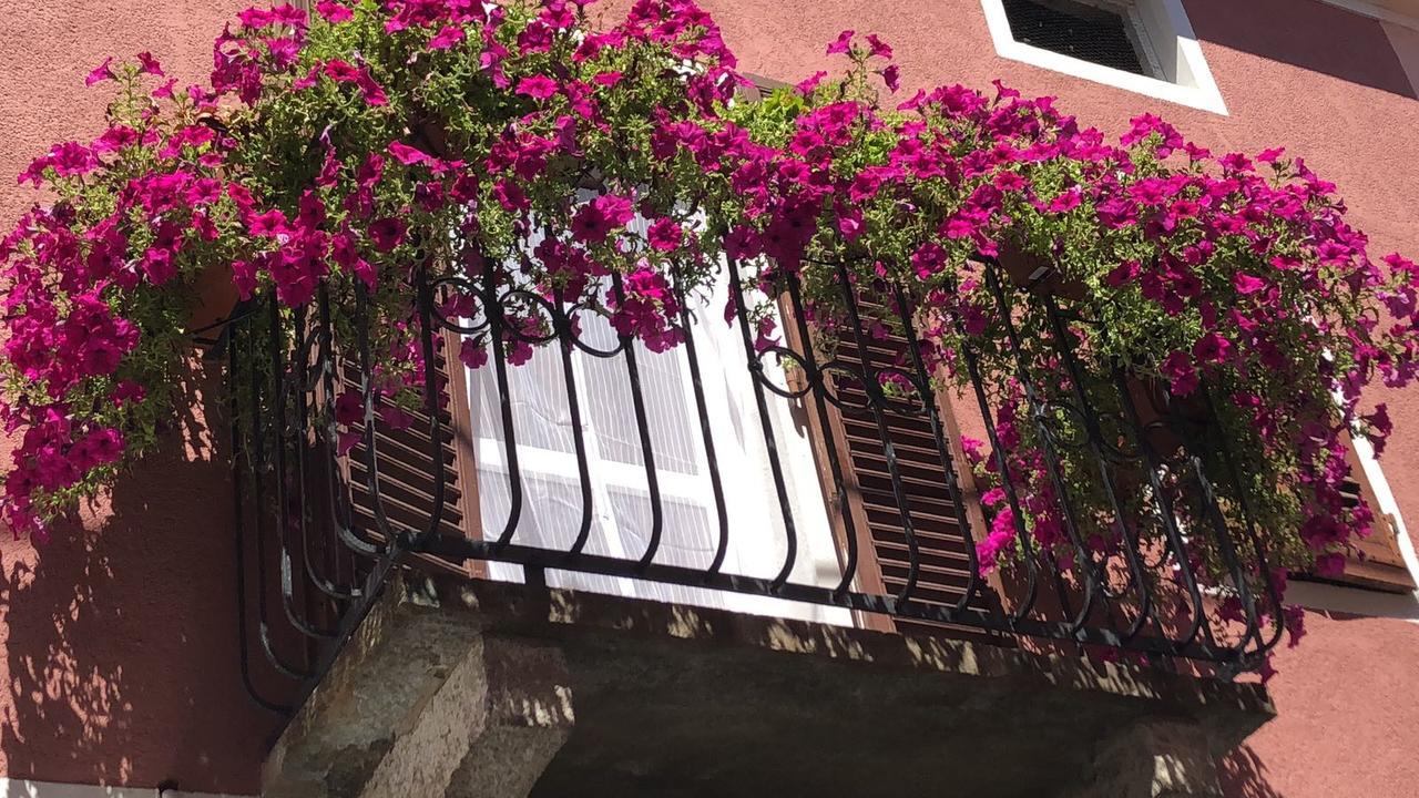 Hotel La Casa Del Colonnello Vercelli Zewnętrze zdjęcie